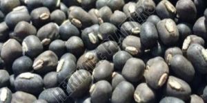 Whole Urad Dal