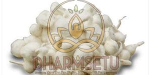 Round Cotton Batti