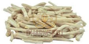 Shatavari Root