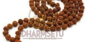 Small Rudraksha Mala