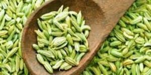 Fennel Seeds