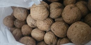 Walnuts
