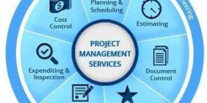 Project Management Consultancy Service