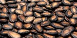 Watermelon Seeds