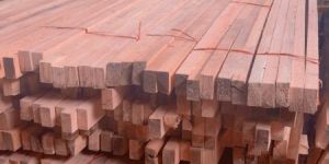 Pine Wood