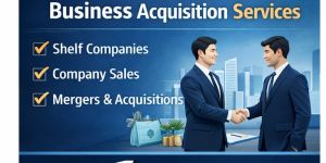 bussiness acquisition service