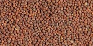 Brown Mustard Seeds