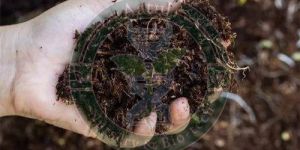 Organic Fertilizers and Manure