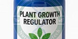 Organic Plant Growth Regulator