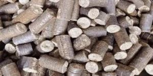 90mm Sawdust Biomass Briquettes