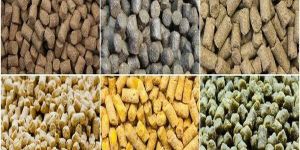 Cattle Feed Pellet
