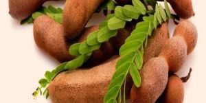 Tamarind