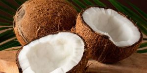 Coconut