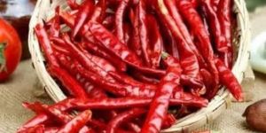 Dried Red Chili