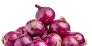 Fresh Red Onion