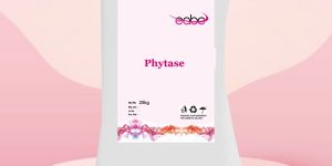 Phytase