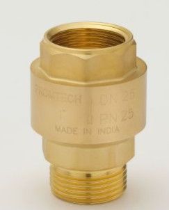 Brass Spring Check Valve (M/f)