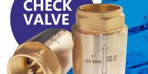Spring Check Valve