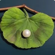 3.78 CT. South Sea Pearl