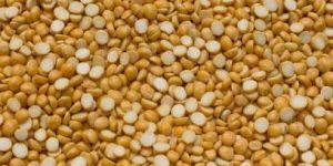 Chana Dal