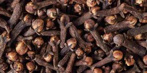 Clove