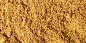 Cumin Powder