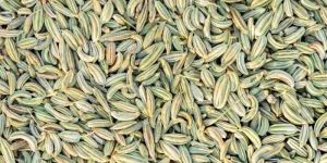Fennel Seeds