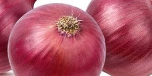 Fresh Onion