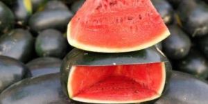 Fresh Watermelon