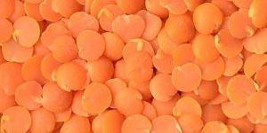 Masoor Dal