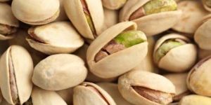 Pistachio