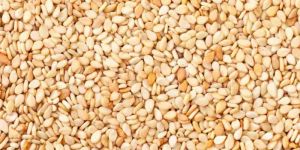 Sesame Seeds