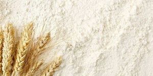 Whole Wheat Flour