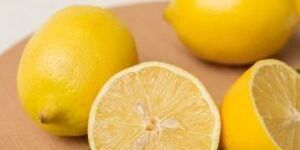 Fresh Lemon
