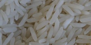 Sugandha Basmati Rice