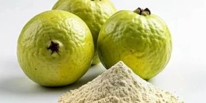 Dehydrated Guava Powder