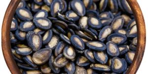 Watermelon Seeds