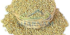 Pearl Millet Seeds