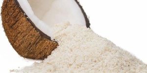 Coconut Milk Powder