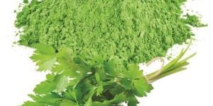 Coriander Powder