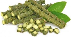 Guduchi (Tinospora Cordifolia) Extract