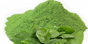 Spinach Powder