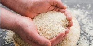 Polished Kalanamak Rice