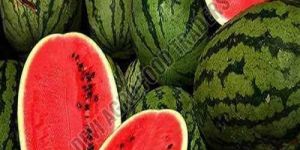 Fresh Watermelon