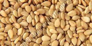 Natural Sesame Seeds