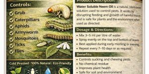 Water Soluble Neem Oil