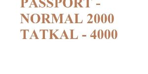 Passport Assistance Services