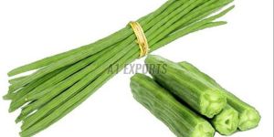Fresh Green Drumstick