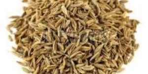 Premium Cumin Seeds
