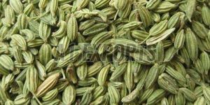 Premium Fennel Seeds